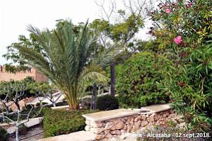 10 ALMERIA ALCAZABA 12 09 2018 (72)